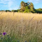 Am Wald Konukevi 3*