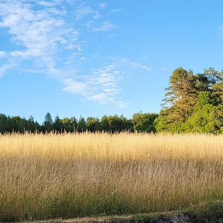 Pensjonat Am Wald Goessweinstein