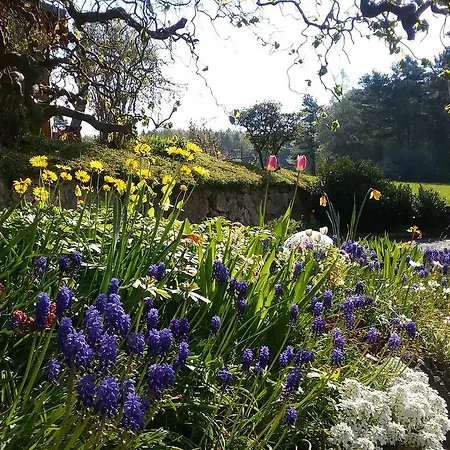 Am Wald Goessweinstein